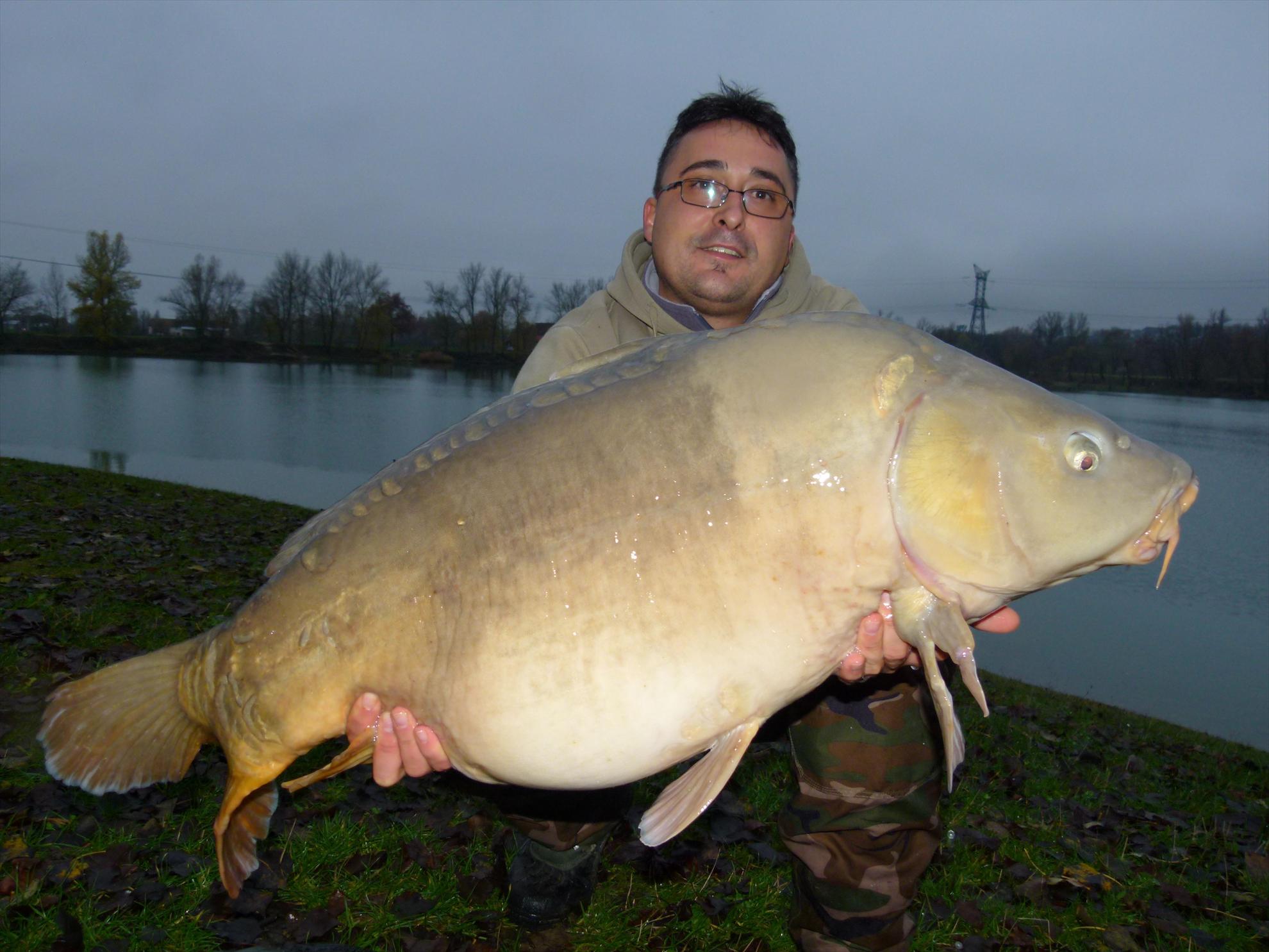 THE BIGS OF 2012 - p1030005.JPG